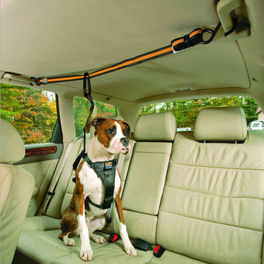 Pet Safety Belt Dual-purpose Car Lanyard - Rarecars